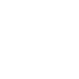 search-2909